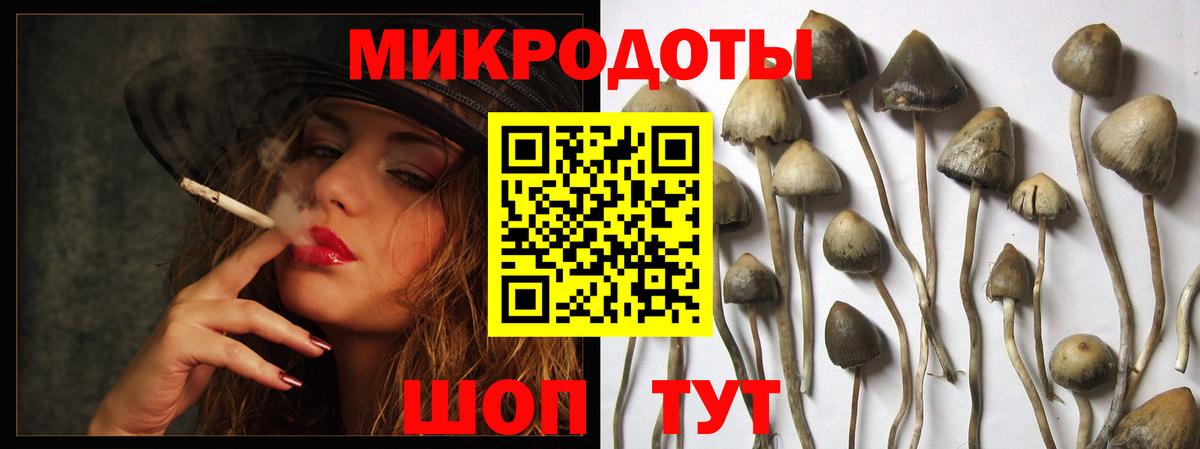 наркота  Псилоцибиновые грибы прущие грибы  Галлюциногенные грибы Psilocybe  Вход с VPN  Ногинск 
